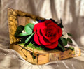 Carte florală decorativă cu trandafiri și anemone
